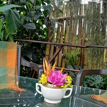 Bed and Breakfast Eco Hostal Casa La Juana Medellín Exterior foto