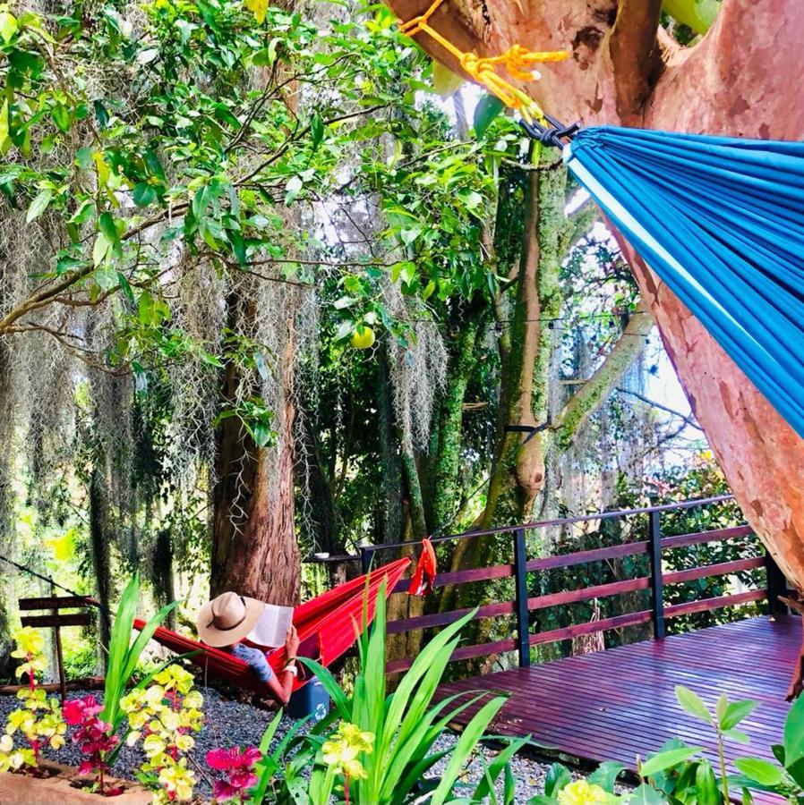 Bed and Breakfast Eco Hostal Casa La Juana Medellín Exterior foto