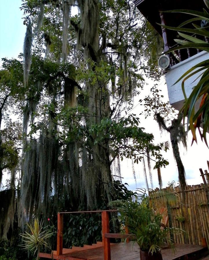 Bed and Breakfast Eco Hostal Casa La Juana Medellín Exterior foto