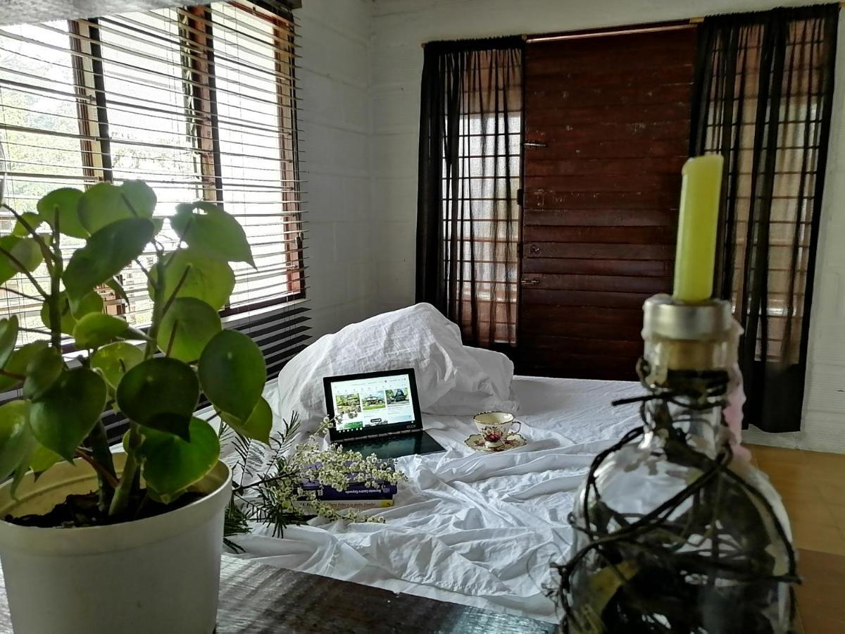 Bed and Breakfast Eco Hostal Casa La Juana Medellín Exterior foto
